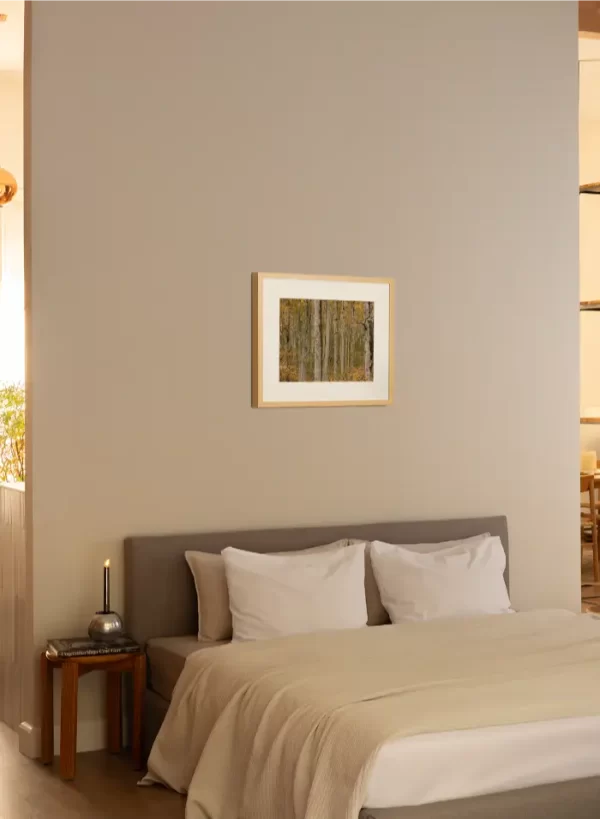 Prašuma Biogradske gore - slika na zidu sobe u small