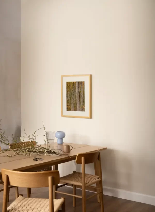 Prašuma Biogradske gore - slika na zidu trpezarije u small