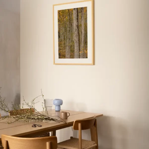 Prašuma Biogradske gore - slika na zidu trpezarije u medium