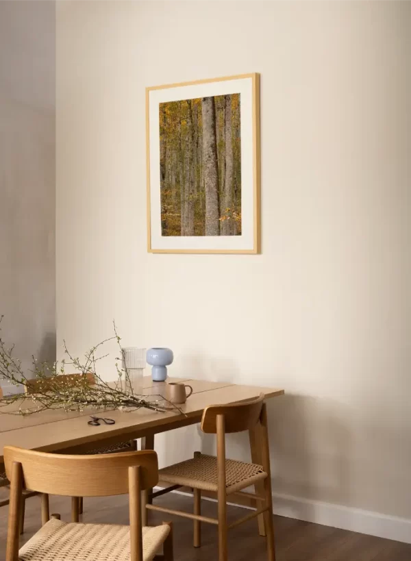 Prašuma Biogradske gore - slika na zidu trpezarije u medium