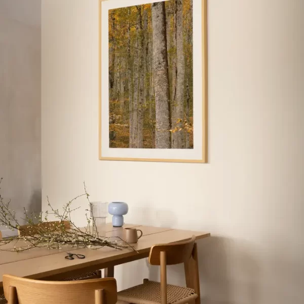 Prašuma Biogradske gore - slika na zidu trpezarije u large