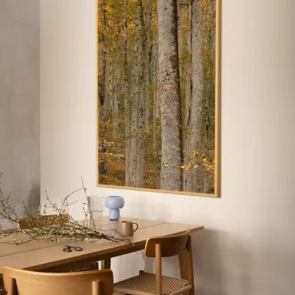 Prašuma Biogradske gore - slika na zidu trpezarije u x large