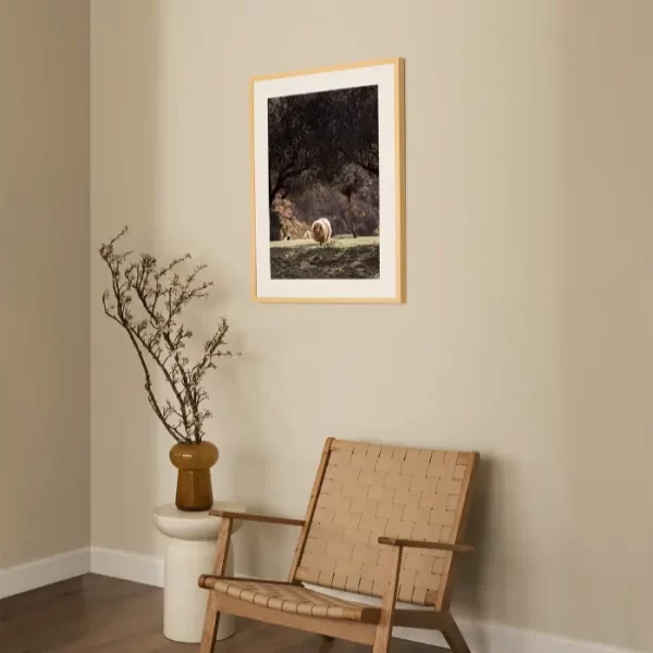 Tri ovce u maslinjaku - slika za zid medium