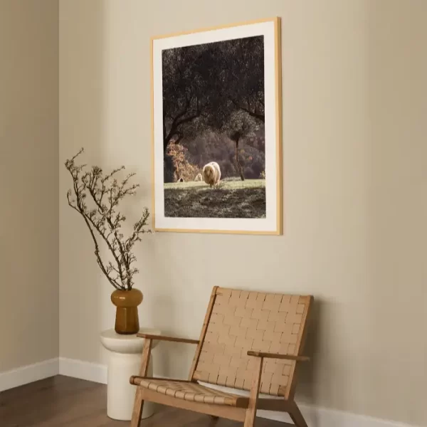 Tri ovce u maslinjaku - slika za zid large