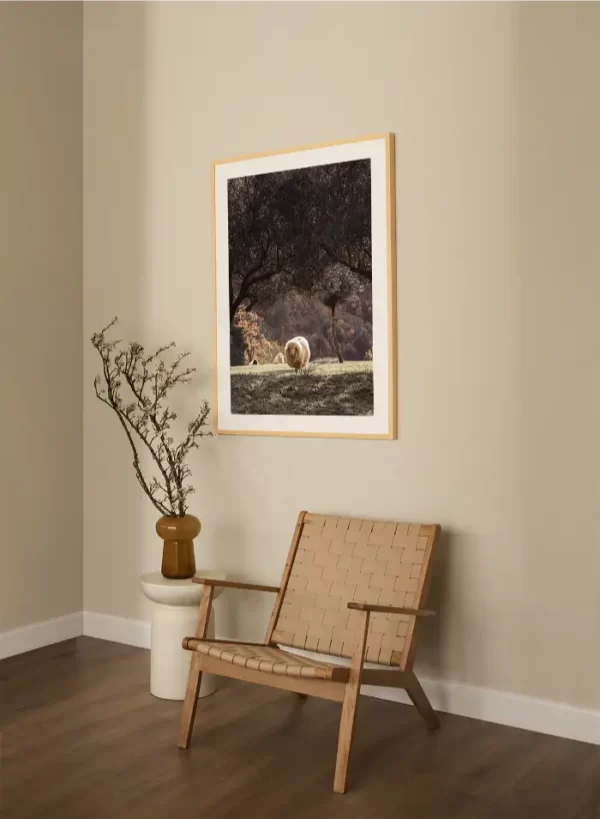 Tri ovce u maslinjaku - slika za zid large