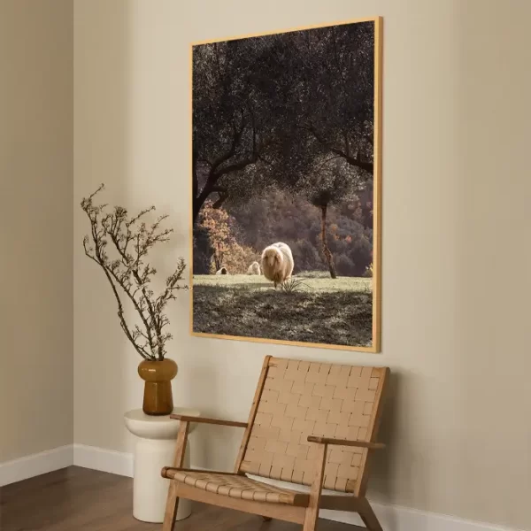 Tri ovce u maslinjaku - slika za zid x large