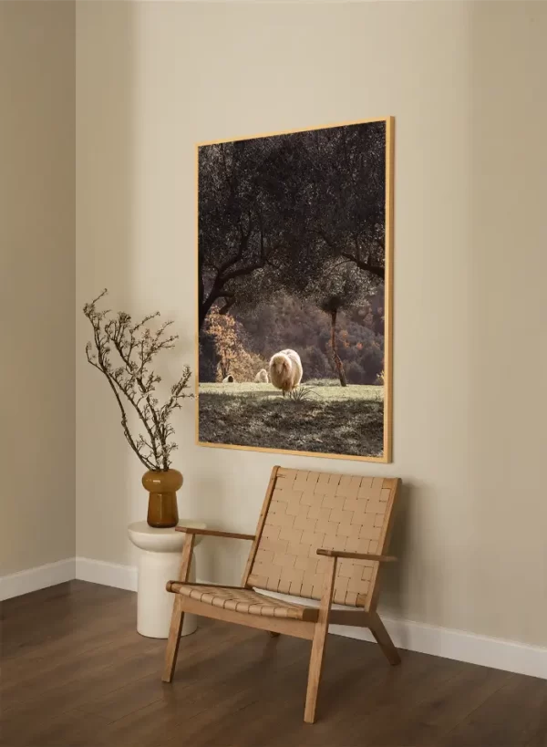 Tri ovce u maslinjaku - slika za zid x large