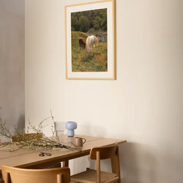 Dva konja u livadi od cvijeća - slika za zid medium