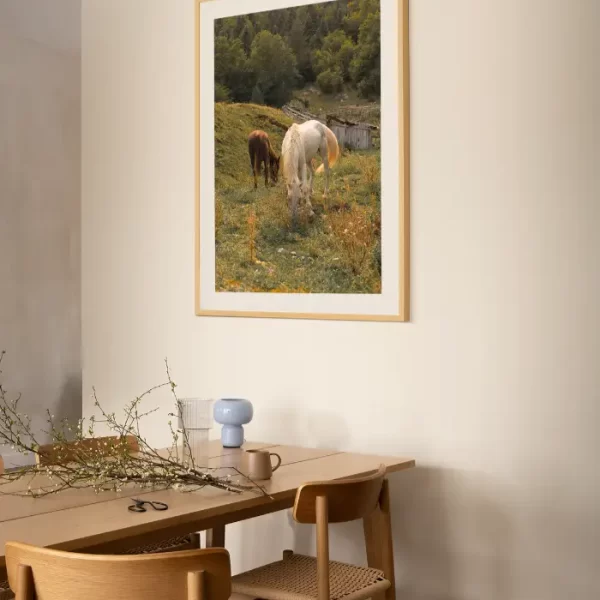 Dva konja u livadi od cvijeća - slika za zid large