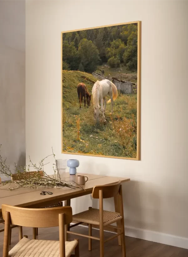 Dva konja u livadi od cvijeća - slika za zid x large