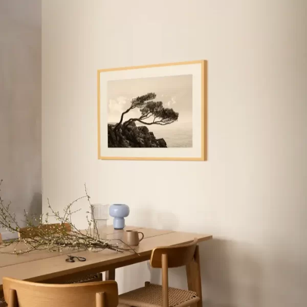 Morska obala i stablo nakrivljeno pod uticajem bure - slika na zidu medium