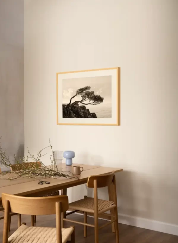 Morska obala i stablo nakrivljeno pod uticajem bure - slika na zidu medium