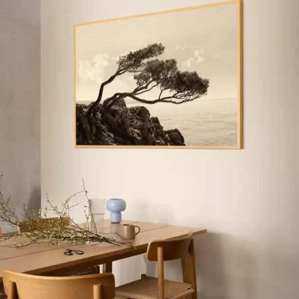 Morska obala i stablo nakrivljeno pod uticajem bure - slika na zidu x large