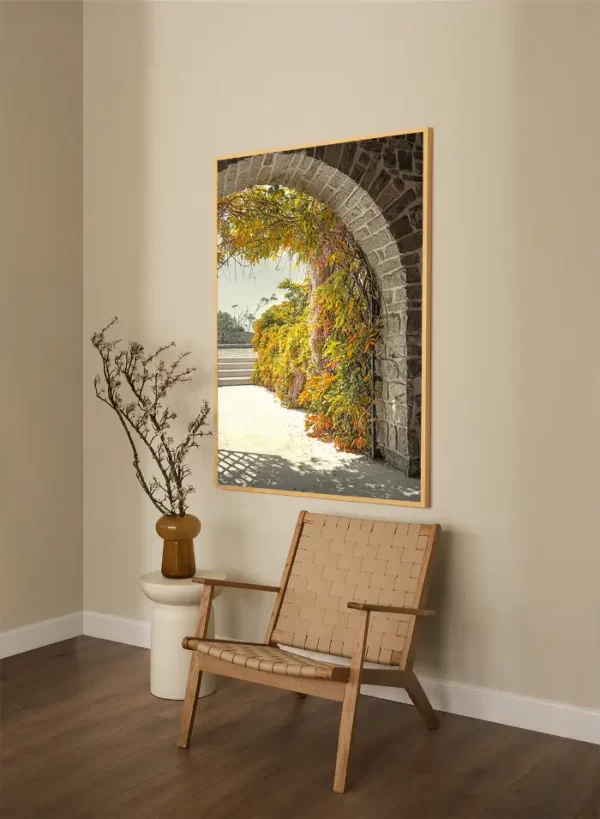 Visterija citadele u Budvi - slika na zidu x large