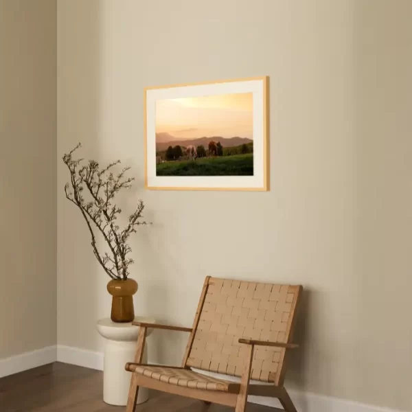 Fotografija dva konja koja pasu na zalasku sunca - slika na zidu