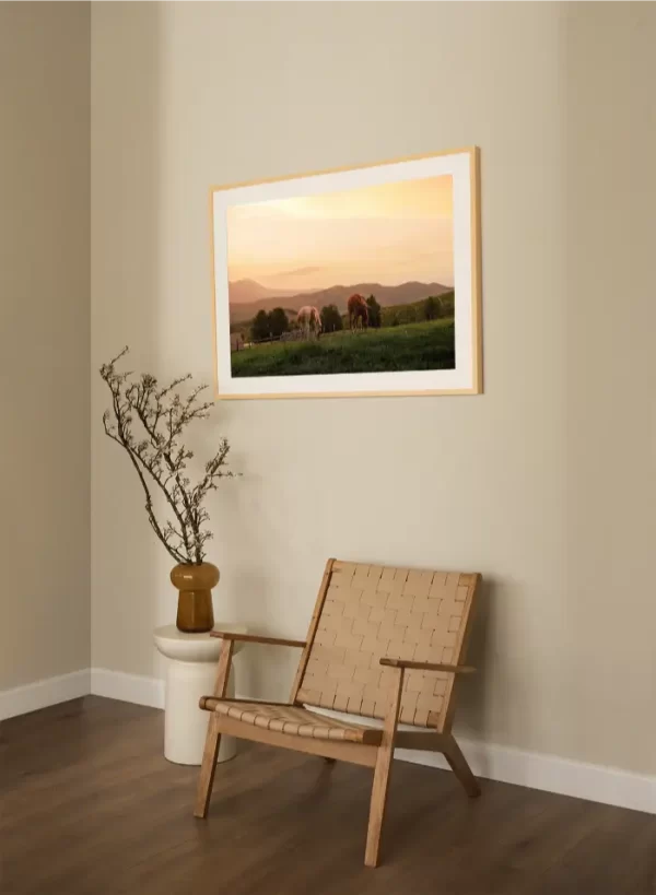 Fotografija dva konja koja pasu na zalasku sunca - slika na zidu