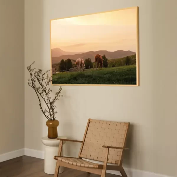 Fotografija dva konja koja pasu na zalasku sunca - slika na zidu