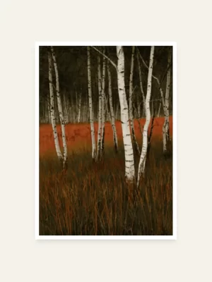 Breza u Crvenoj travi - slika za zid