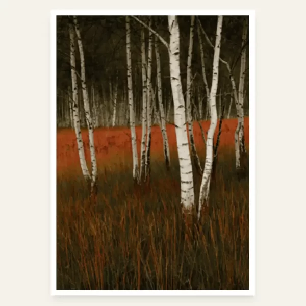 Breza u Crvenoj travi - slika za zid