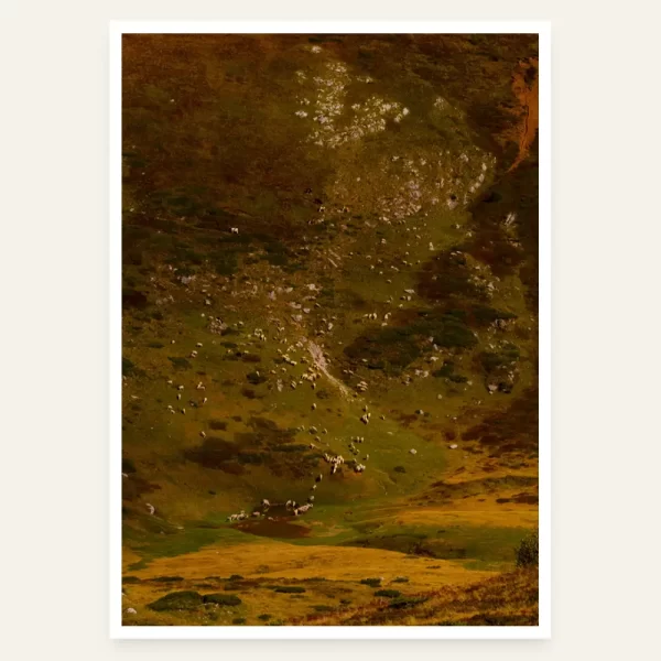 Padina i stado ovaca i krava na njoj - slika za zid