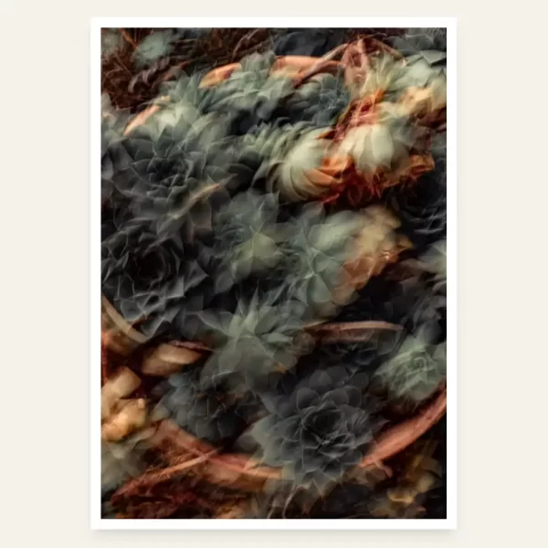 Čuvarkuća apstraktno i mutno - slika za zid