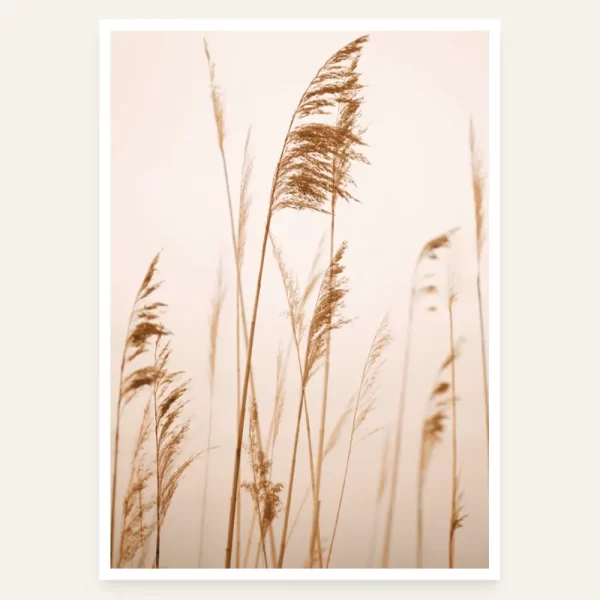 Trava u toplim tonovima - slika za zid