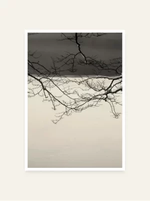 Grane iznad Biogradskog jezera - slika za zid