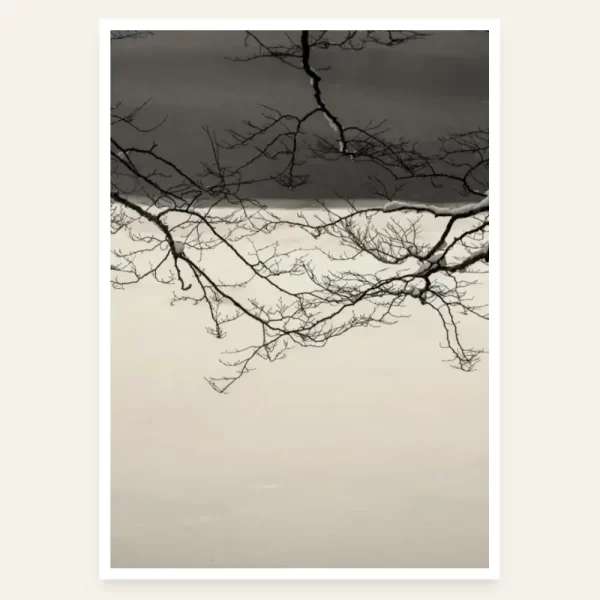 Grane iznad Biogradskog jezera - slika za zid