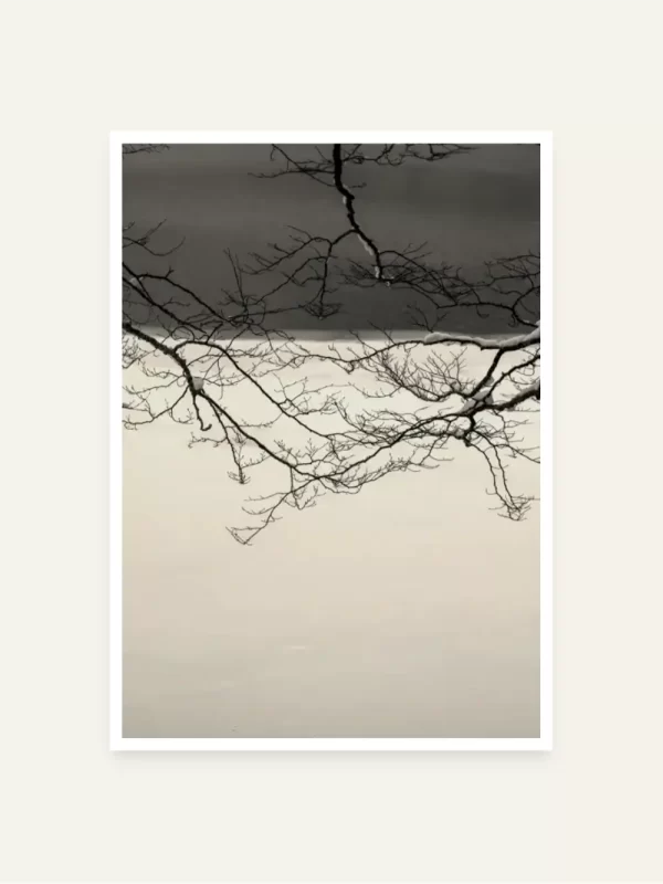 Grane iznad Biogradskog jezera - slika za zid