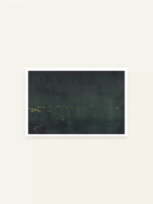 Biljke u Zmijem jezeru - slika za zid