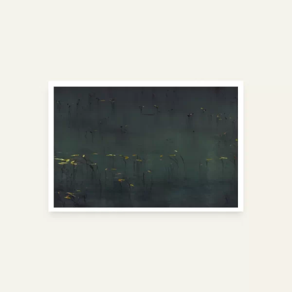 Biljke u Zmijem jezeru - slika za zid