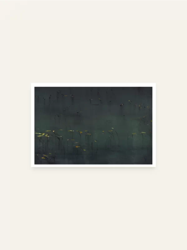 Biljke u Zmijem jezeru - slika za zid