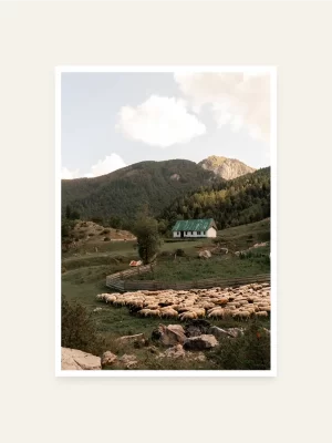 Stado ovaca i kuća u pozadini - slika za zid