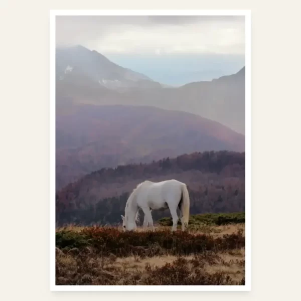 Bijeli konj pase na planini - slika za zid
