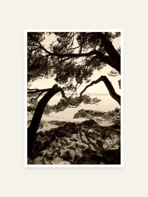 Grane koje vode u more - slika za zid