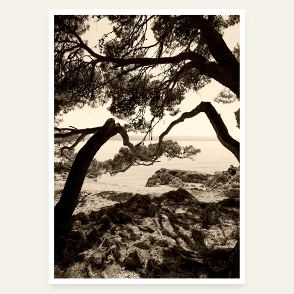 Grane koje vode u more - slika za zid