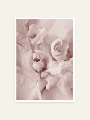 Cvijeće orhideja - slika za zid