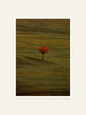 Jedno drvo u poljani - slika za zid