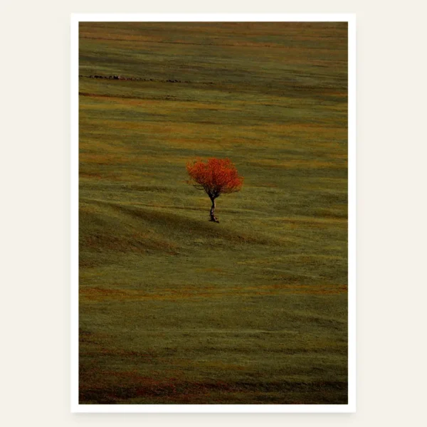 Jedno drvo u poljani - slika za zid