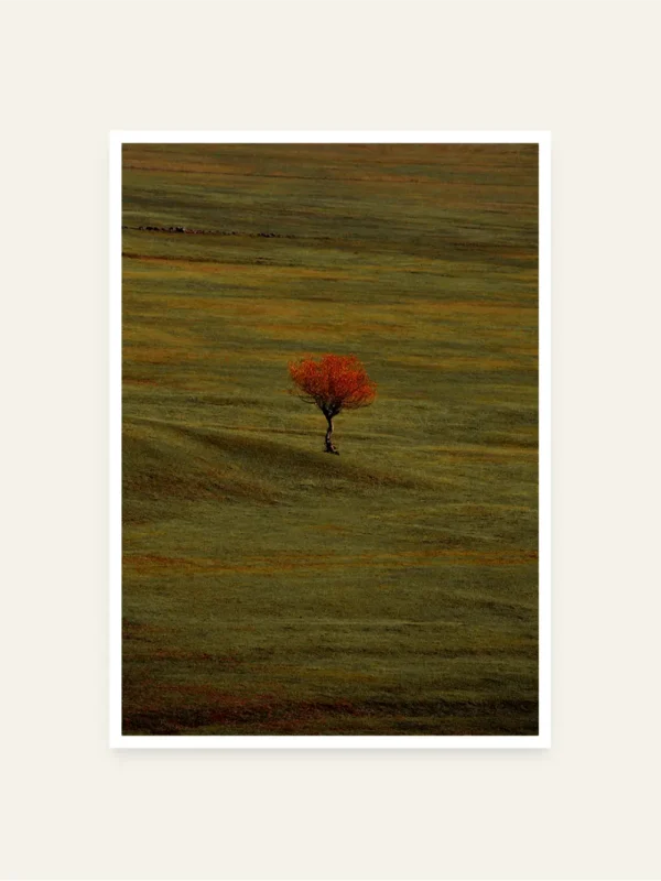 Jedno drvo u poljani - slika za zid