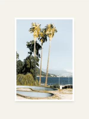 Tri palme u Herceg Novom - slika za zid