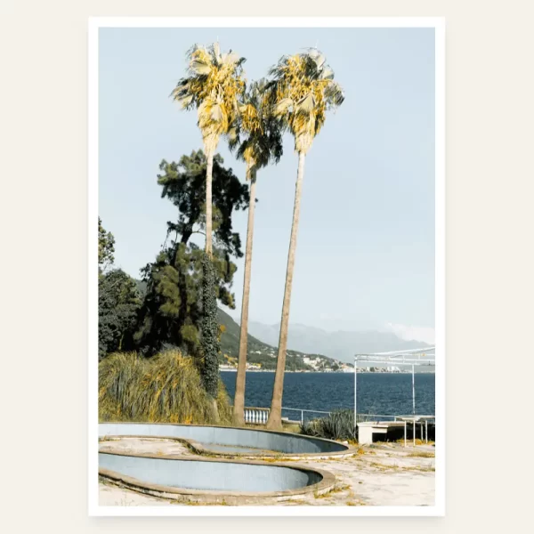 Tri palme u Herceg Novom - slika za zid