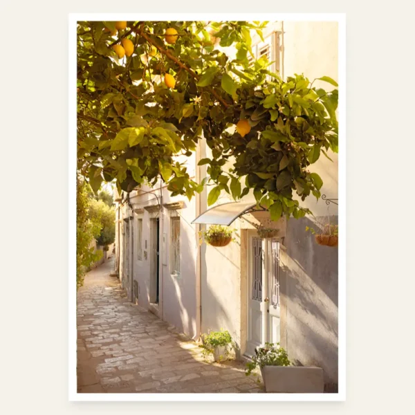 Prolaz u Dubrovniku i drvo puno limuna - slika za zid