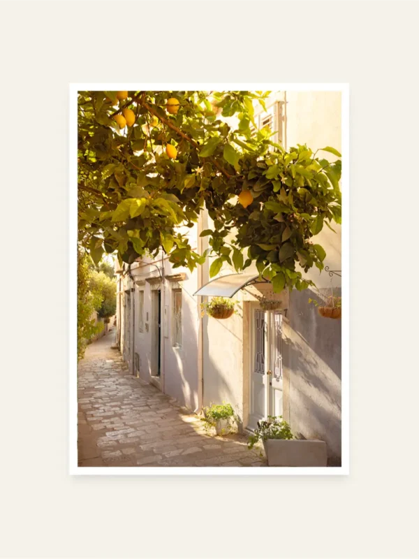 Prolaz u Dubrovniku i drvo puno limuna - slika za zid