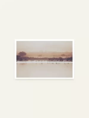 Flamingosi rano ujutro - slika za zid