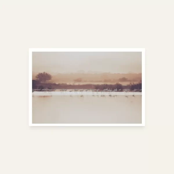 Flamingosi rano ujutro - slika za zid