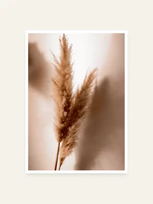 Pampas trava - slika za zid