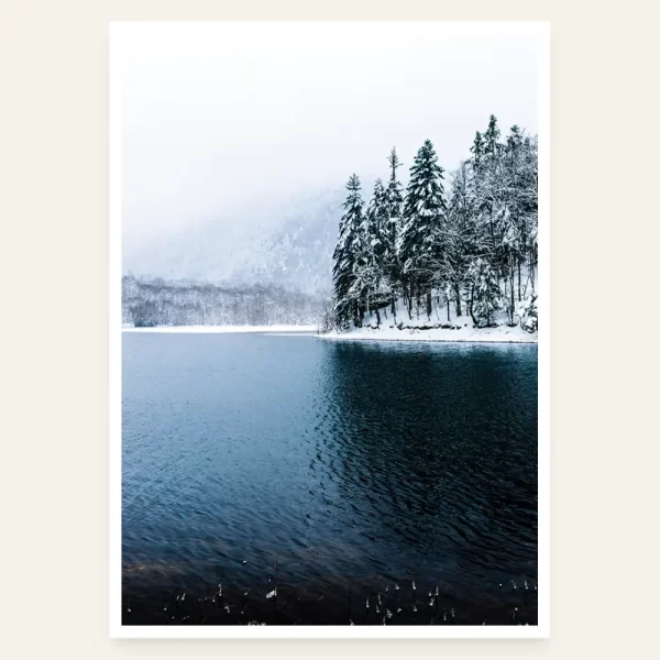 Biogradsko jezero zimi - slika za zid