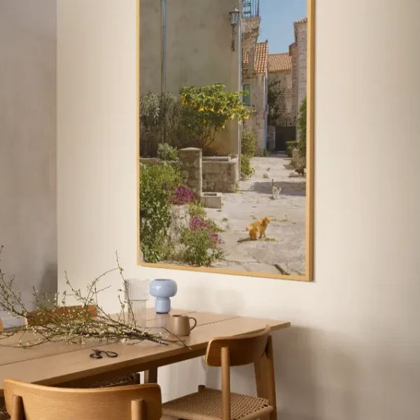 Macke Perasta 4 Mačke u Perastu