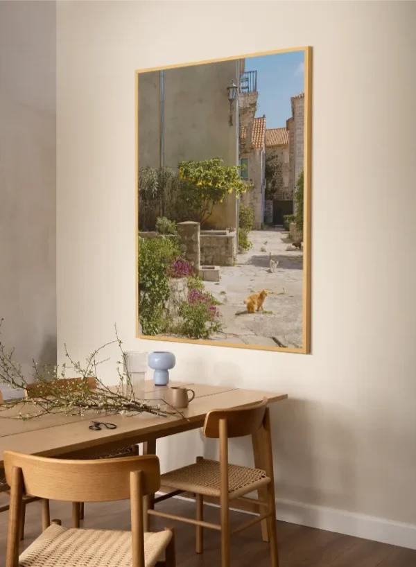 Macke Perasta 4 Mačke u Perastu